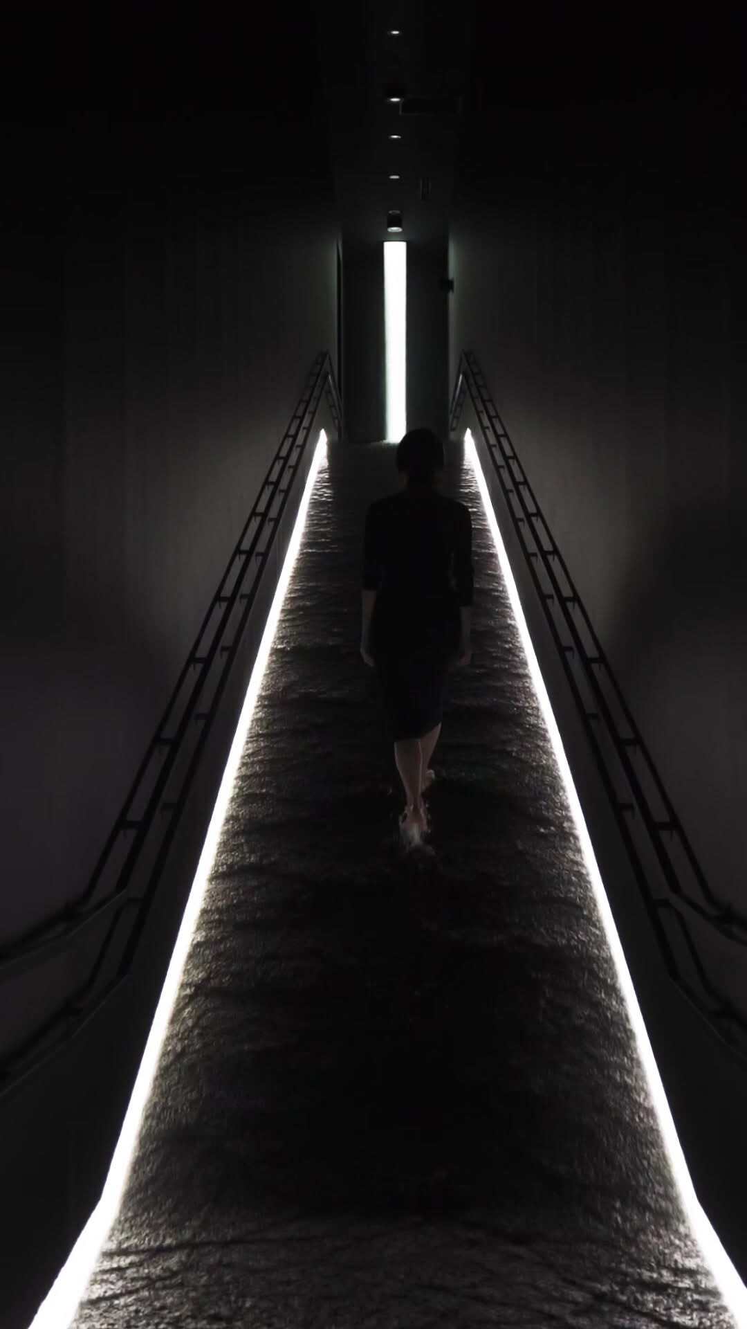 Tokyo Attractions: teamLab Planets, Odaiba, Tsukiji & Ginza
