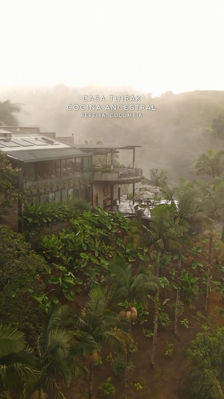Kimbaya Gastronomy Meets Nature Reserve