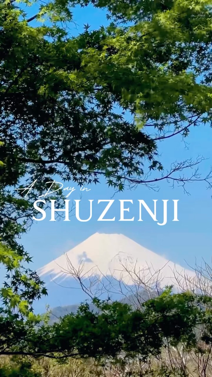 Shuzenji's Bamboo Forest And Fuji Views