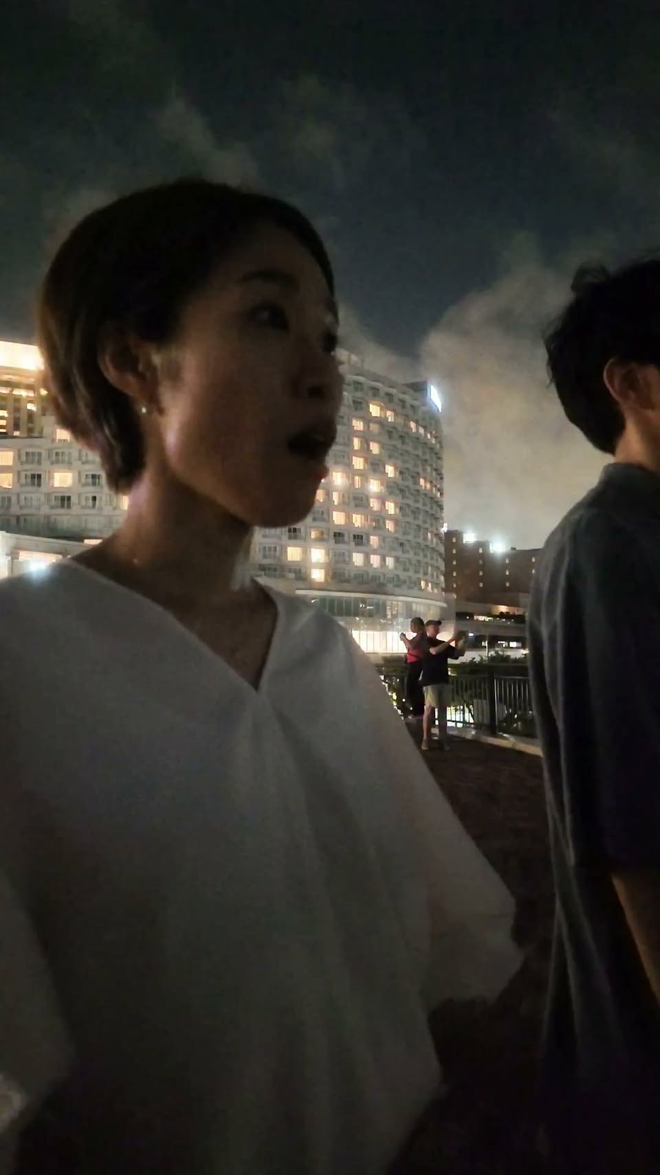Fountains and Bridges: Tokyo's Waterfront Wonders