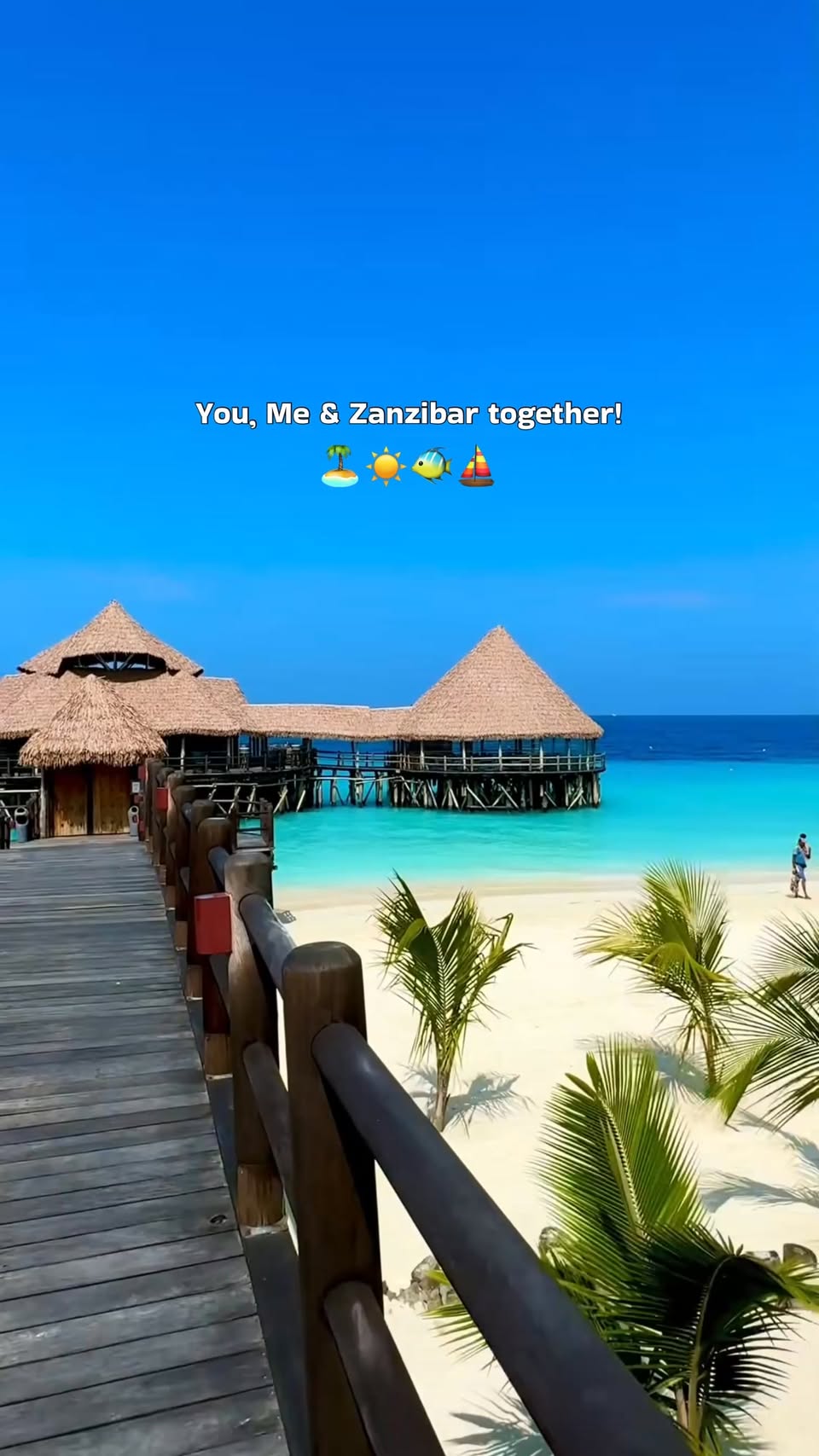 Zanzibar Offers Beaches, Forests, and Marine Life