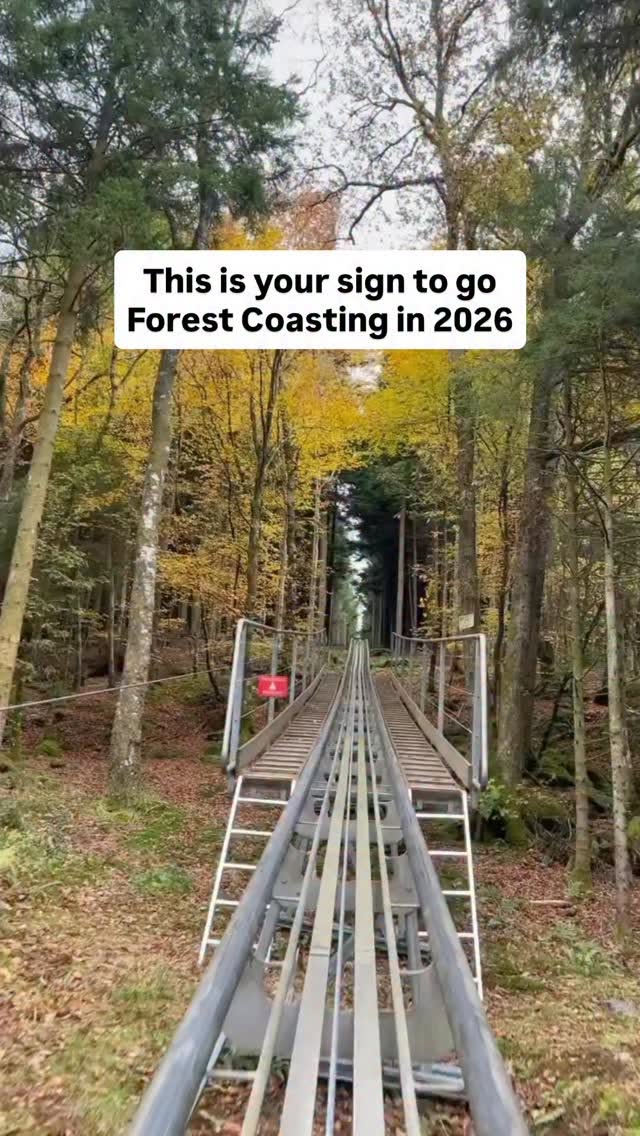 Gravity-Driven Alpine Coaster Adventures In Snowdonia