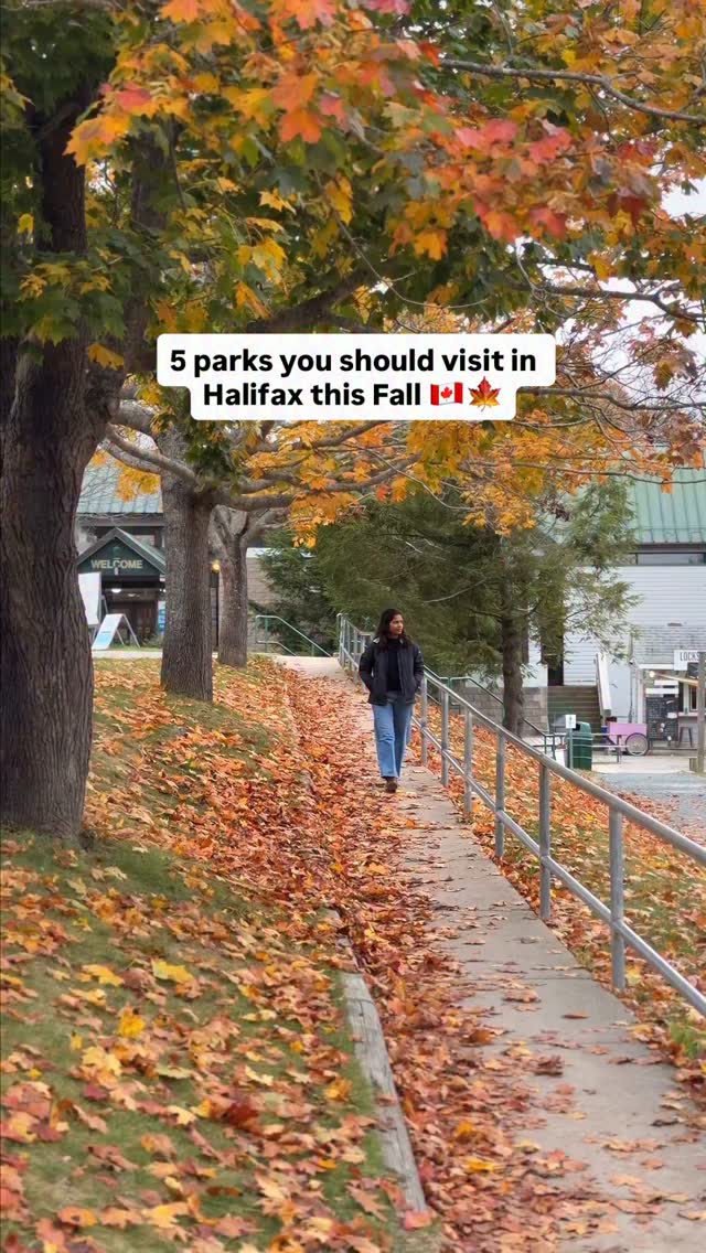 Halifax Parks Offer Beautiful Fall Foliage and Outdoor Fun