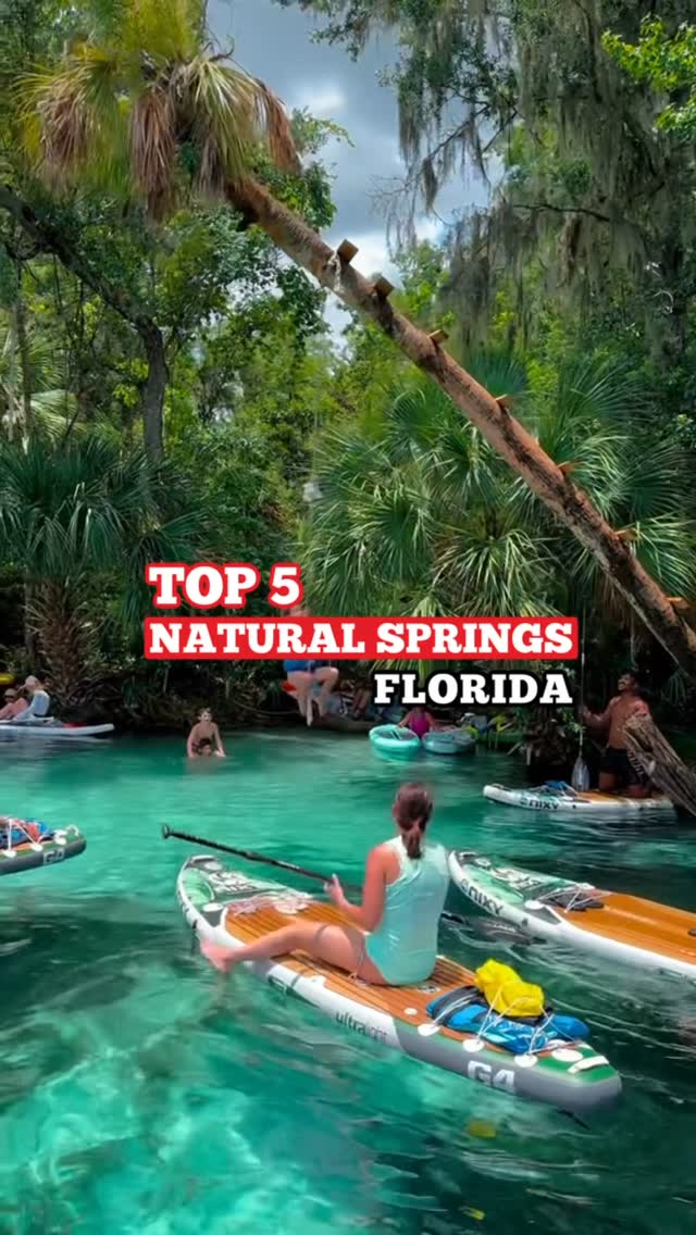 Florida's Top Natural Springs For Family Fun