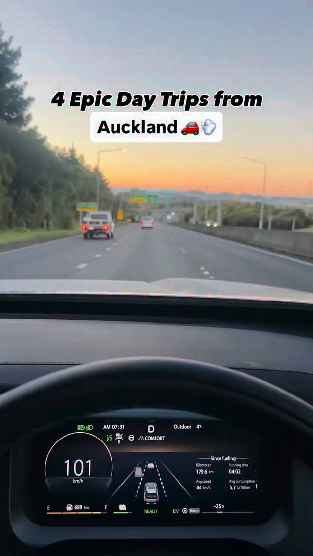 Auckland Day Trips: Waterfalls, Caves, and Walks