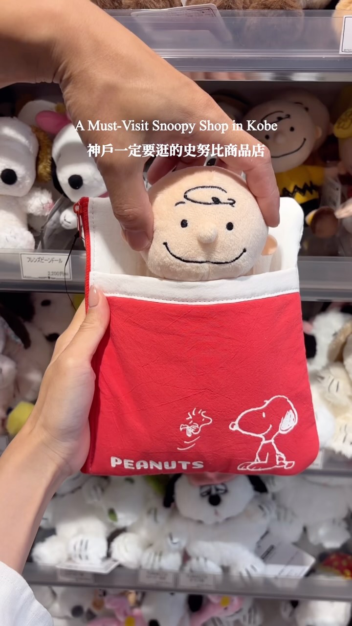 Snoopy Town Shop With Extensive Merchandise