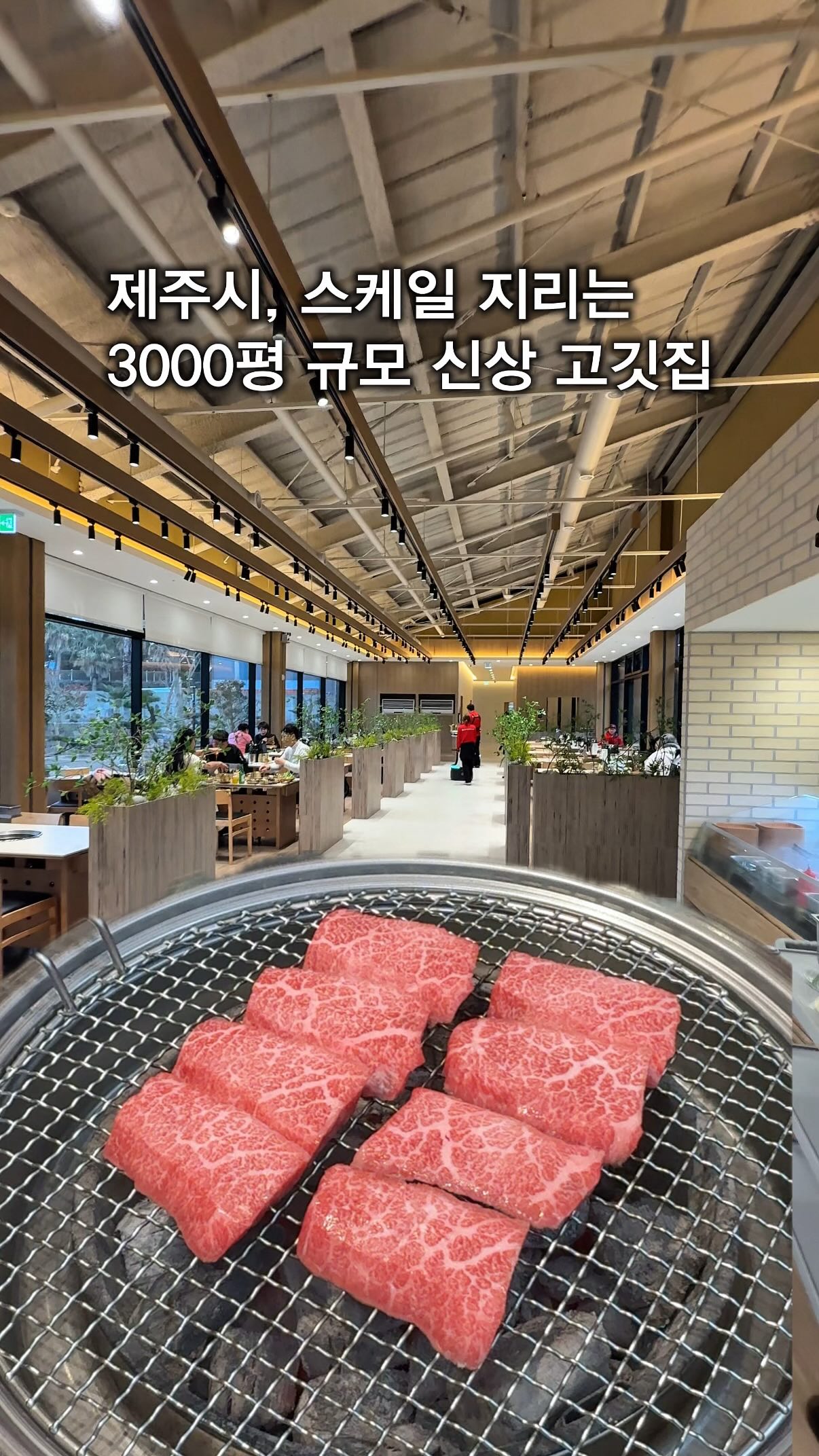 Jeju's Largest Butcher Restaurant And Cafe
