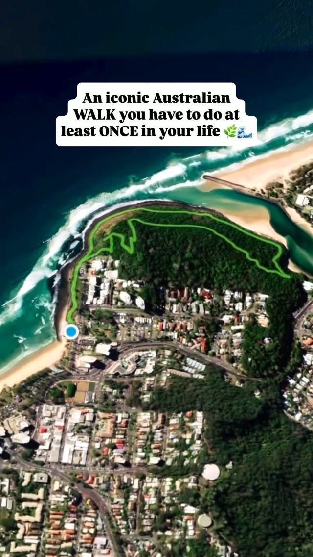 Scenic Gold Coast Walks With Coastal & Rainforest Views