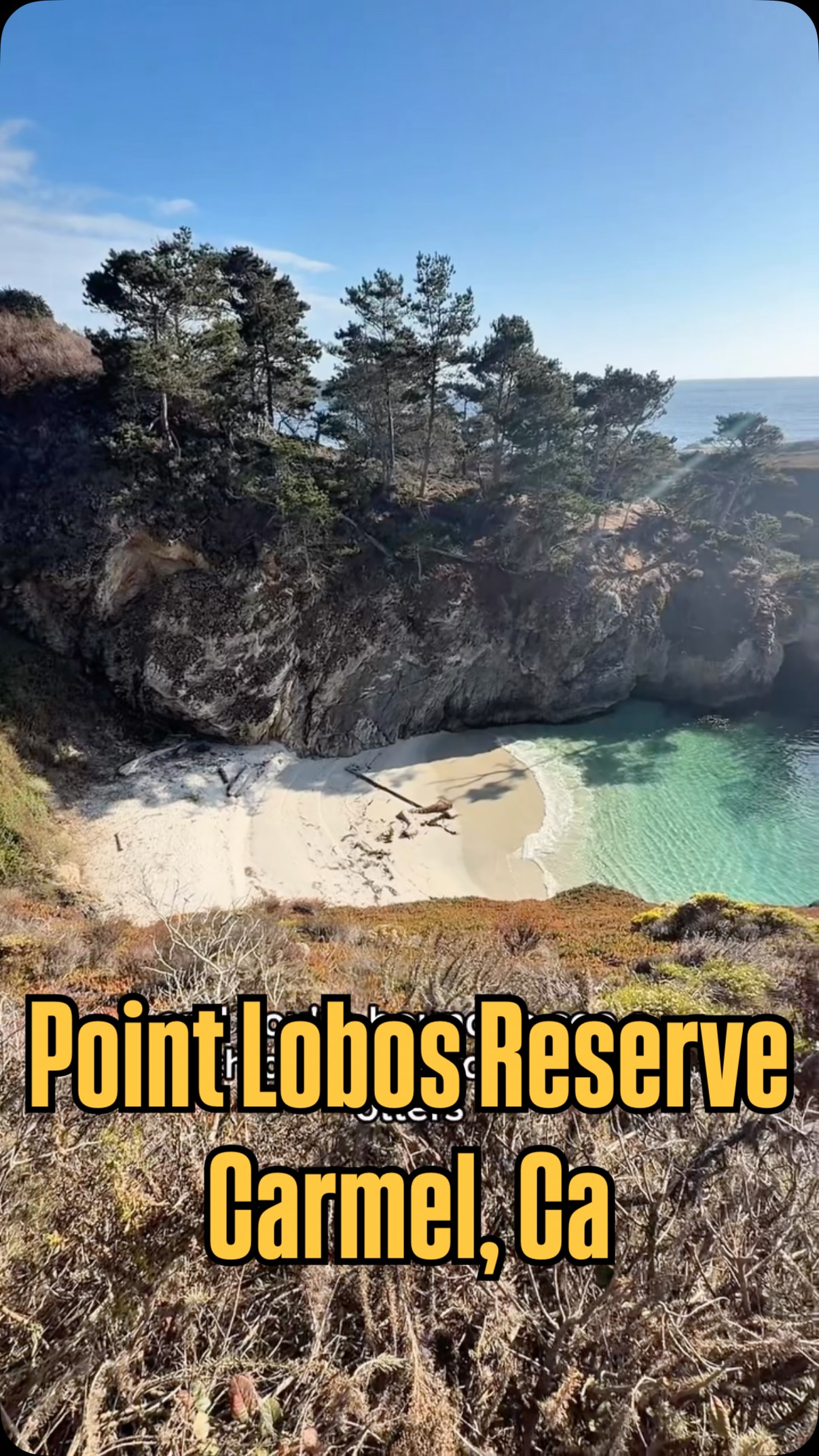 Point Lobos: Scenic Hikes And Wildlife Wonders