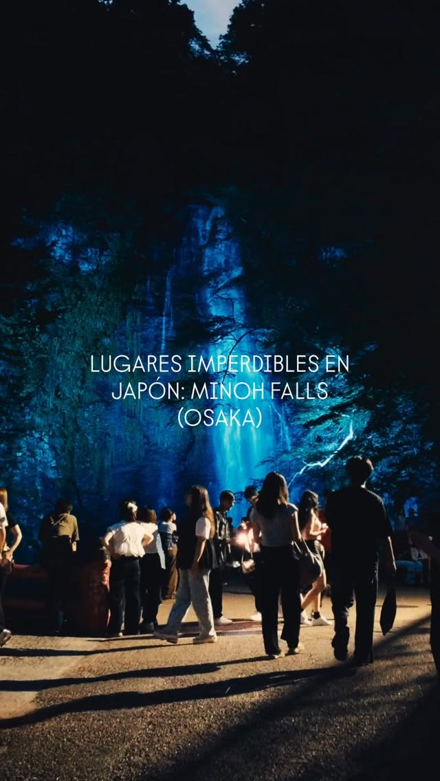 Osaka Nature Escape: Minoh Falls Illuminated Twice Yearly