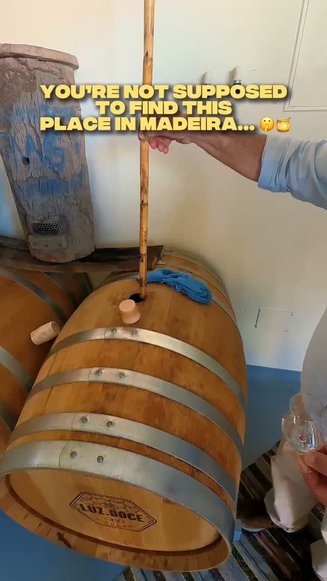 Homemade Honey and Mead Producer in Porto Moniz