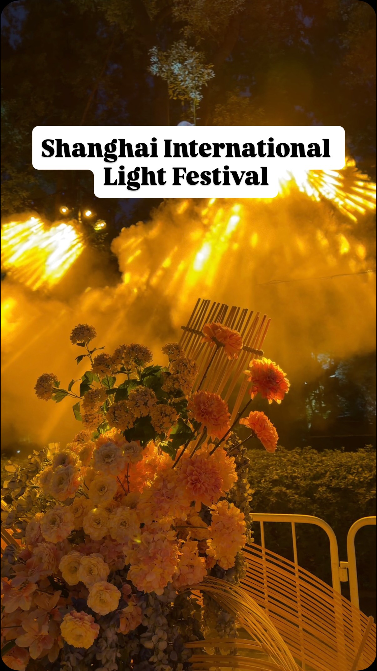 Shanghai International Light Festival Lights Up City