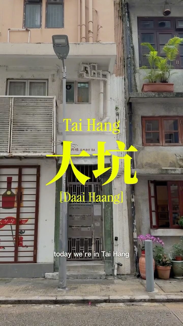 Tai Hang Eateries, Shops, and Cafes Guide