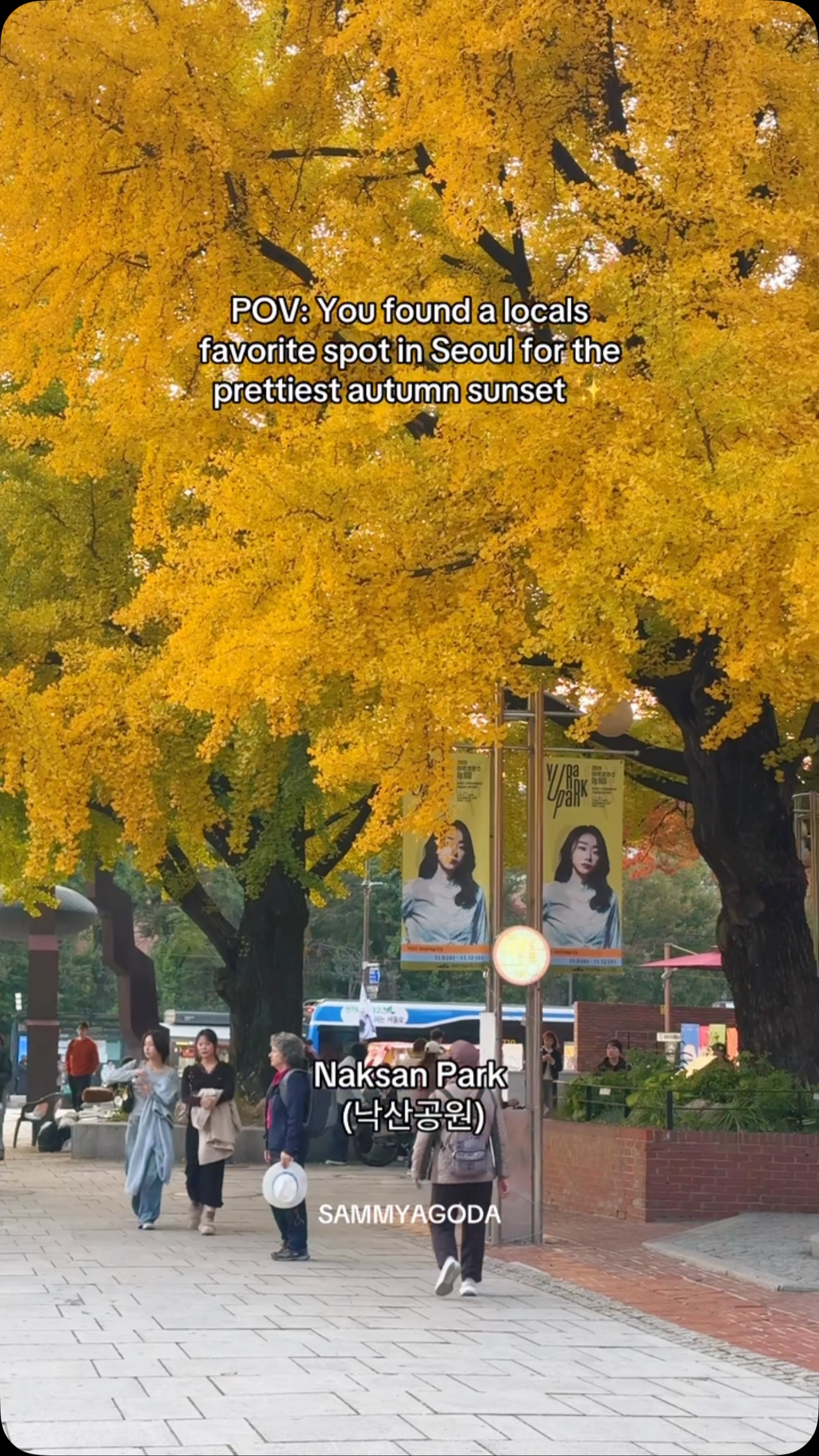 Seoul's Autumn Sunset Spots And Mural Village