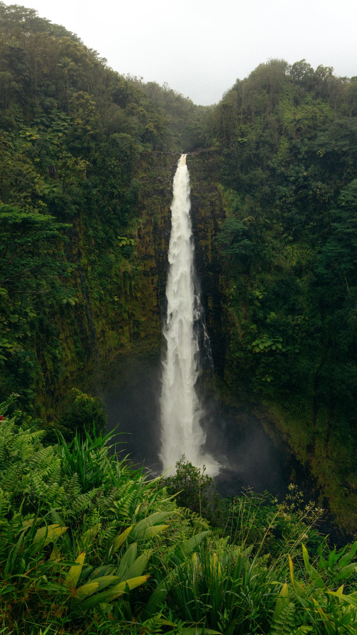 Big Island's Natural Wonders: Volcanoes, Beaches, Waterfalls