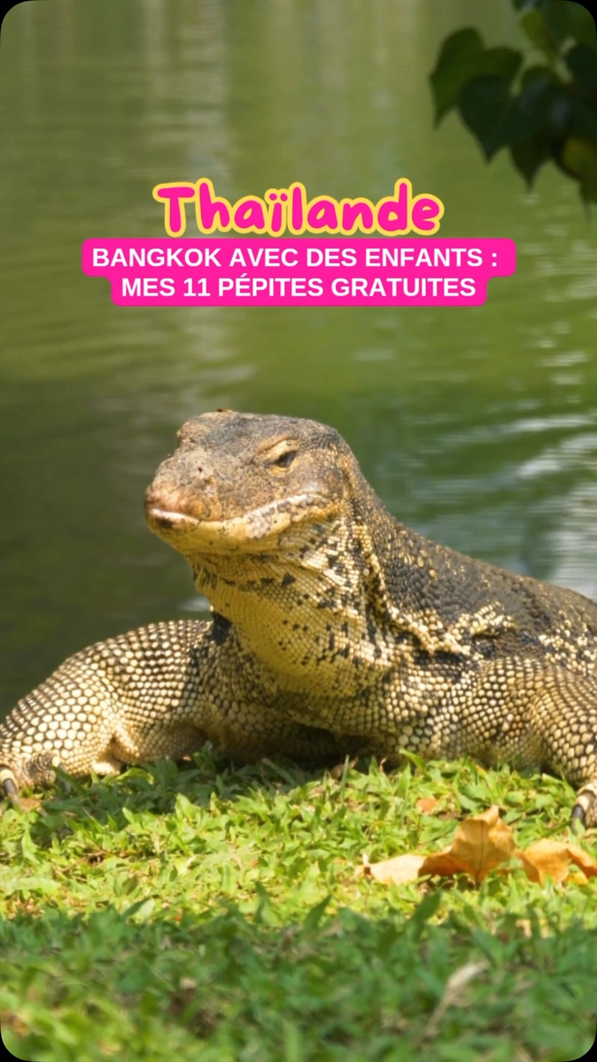 Family-Friendly Bangkok Attractions With Scenic Views