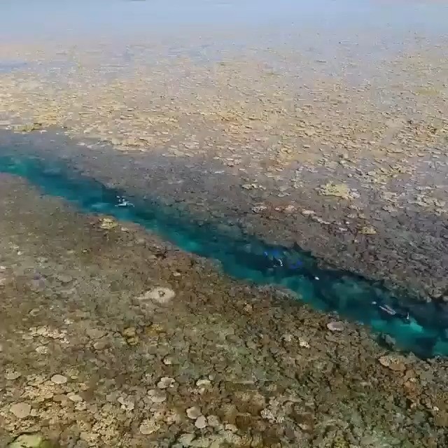 Remote Rowley Shoals Islands