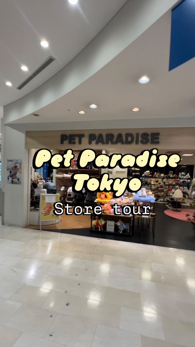 Pet Paradise Pet-Friendly Destinations