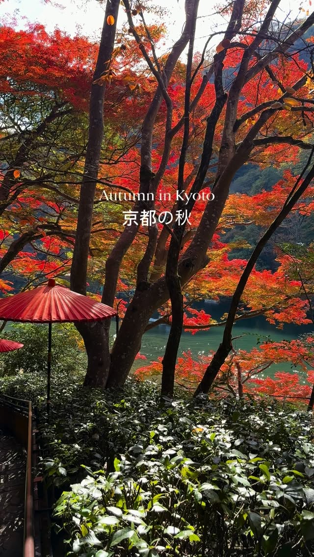 4 Attractions in Kyoto
