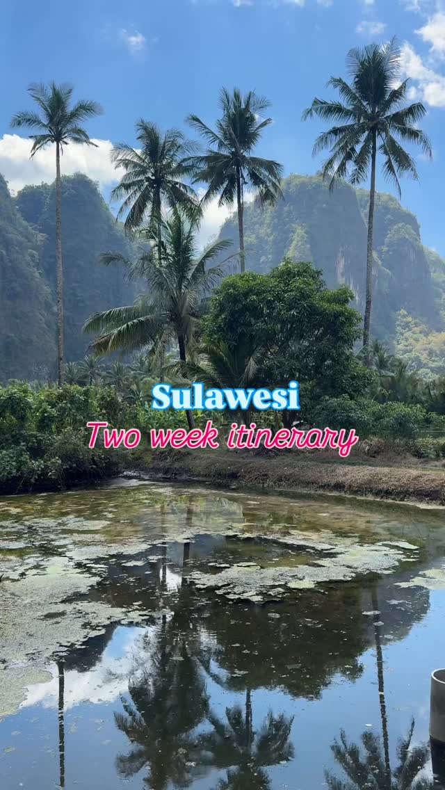 Sulawesi Destinations: Culture, Nature, and Wildlife