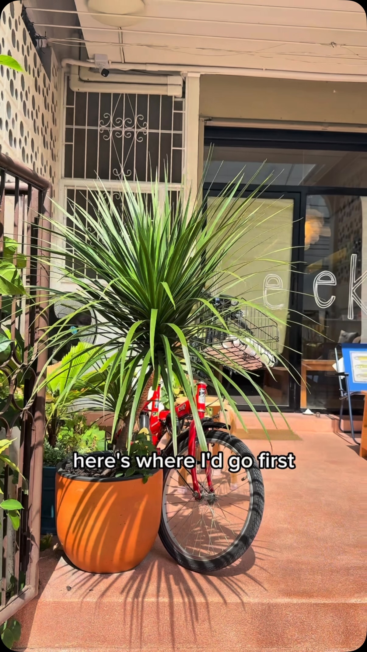Bangkok's Best Bites: Breakfast to Nightcap