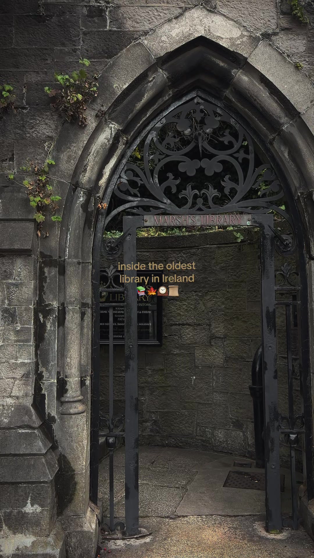 Historic Dublin Library's Architecture and Books