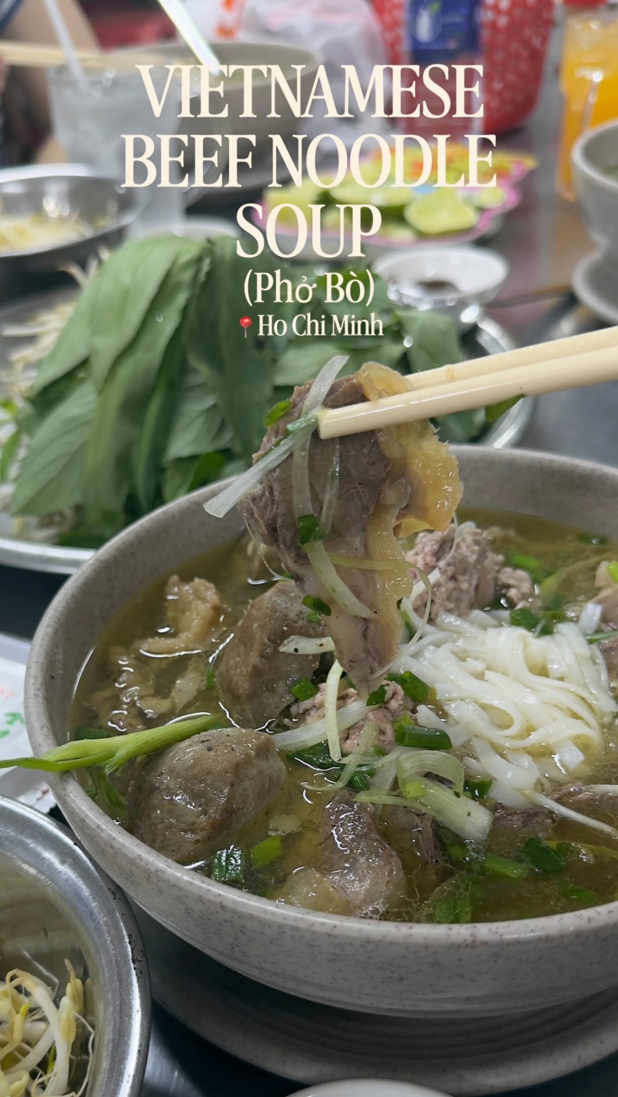Pho Le: Southern Style Pho Since 1970