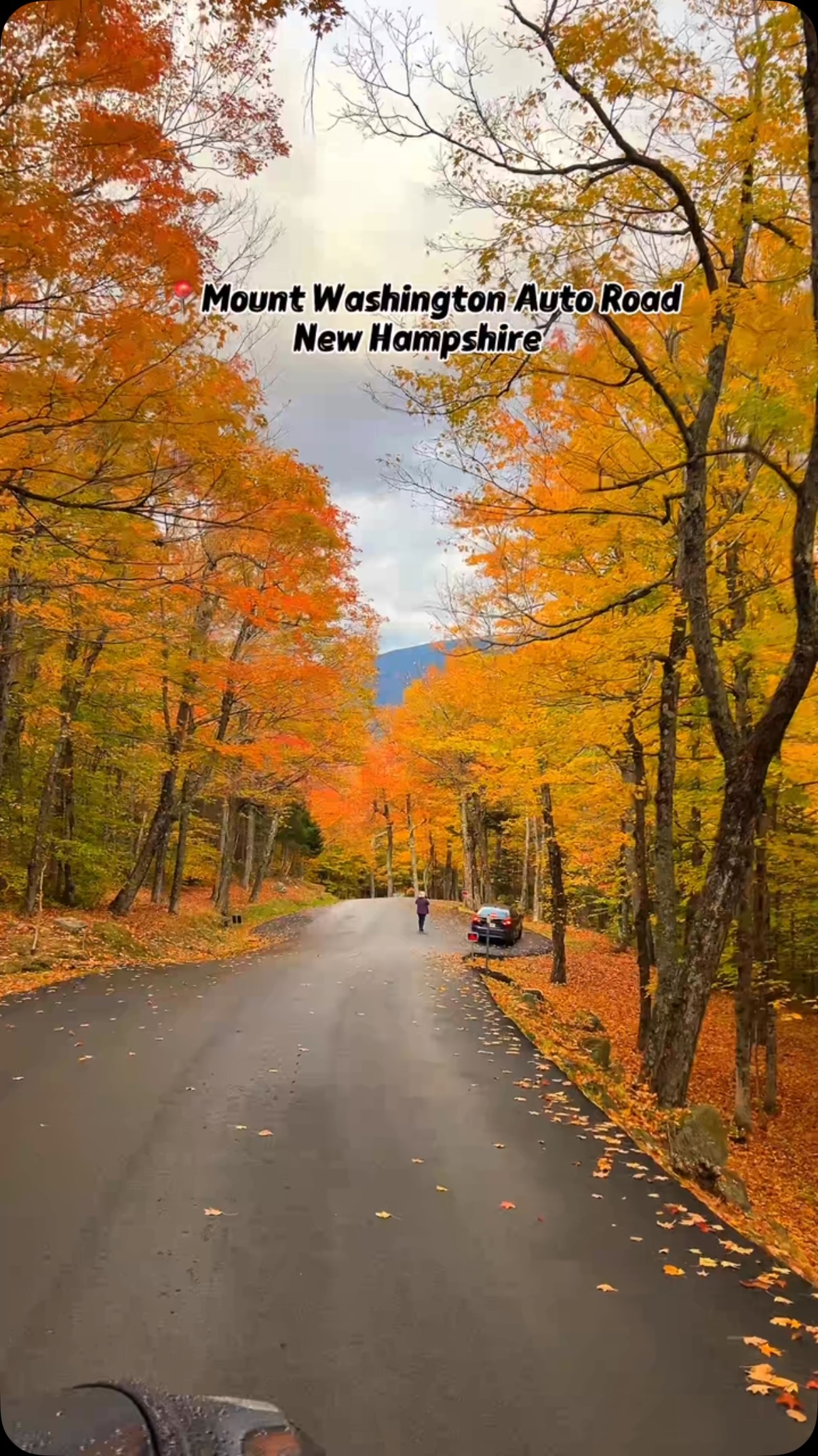 Autumn Views On Mount Washington Auto Road