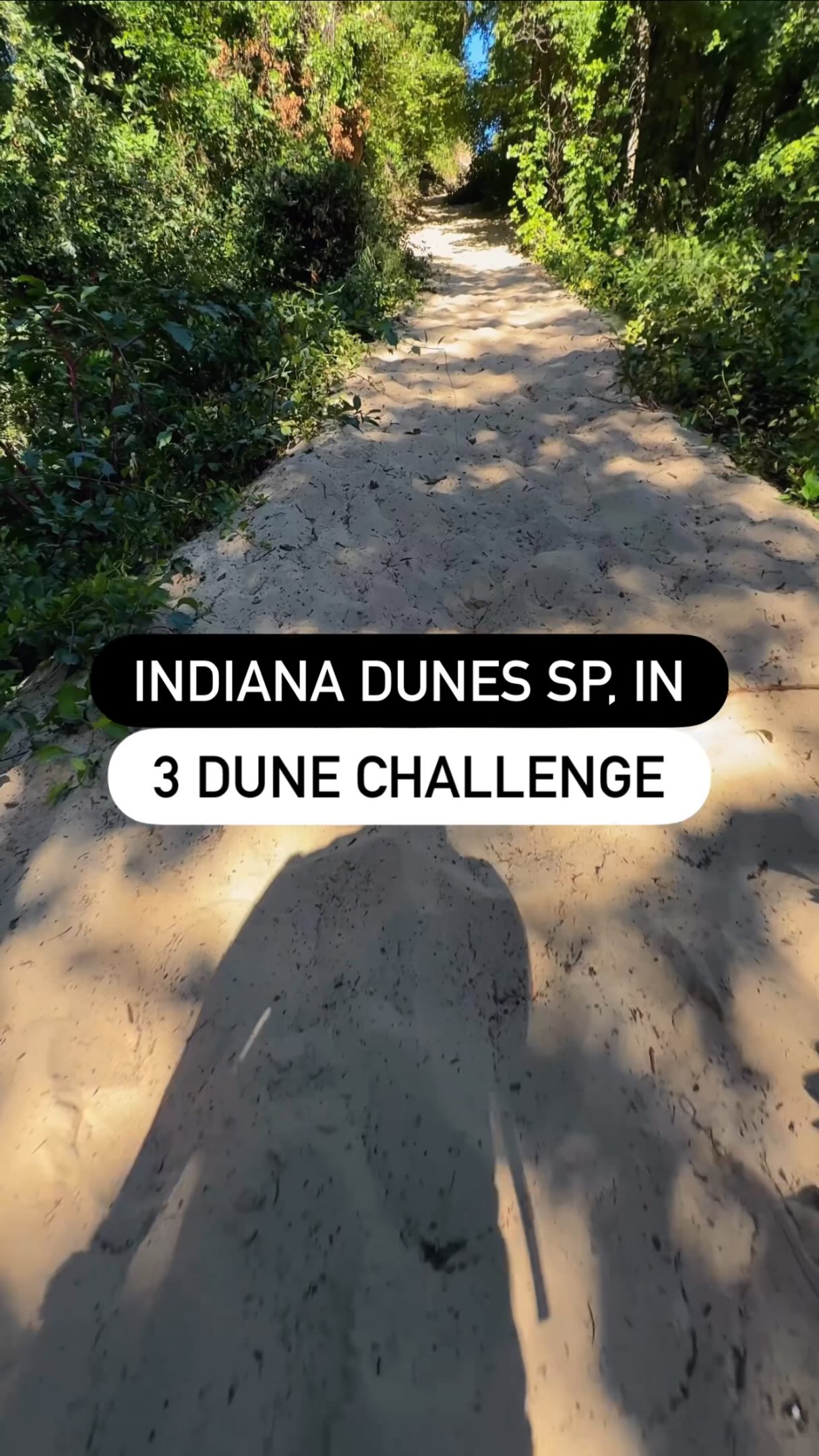 Indiana Dunes Three Dune Challenge Hike
