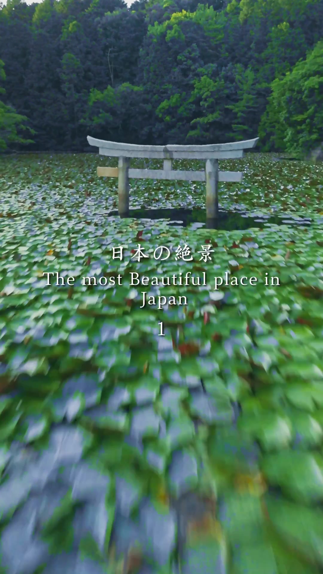 Scenic Spots And Traditional Sites Across Japan