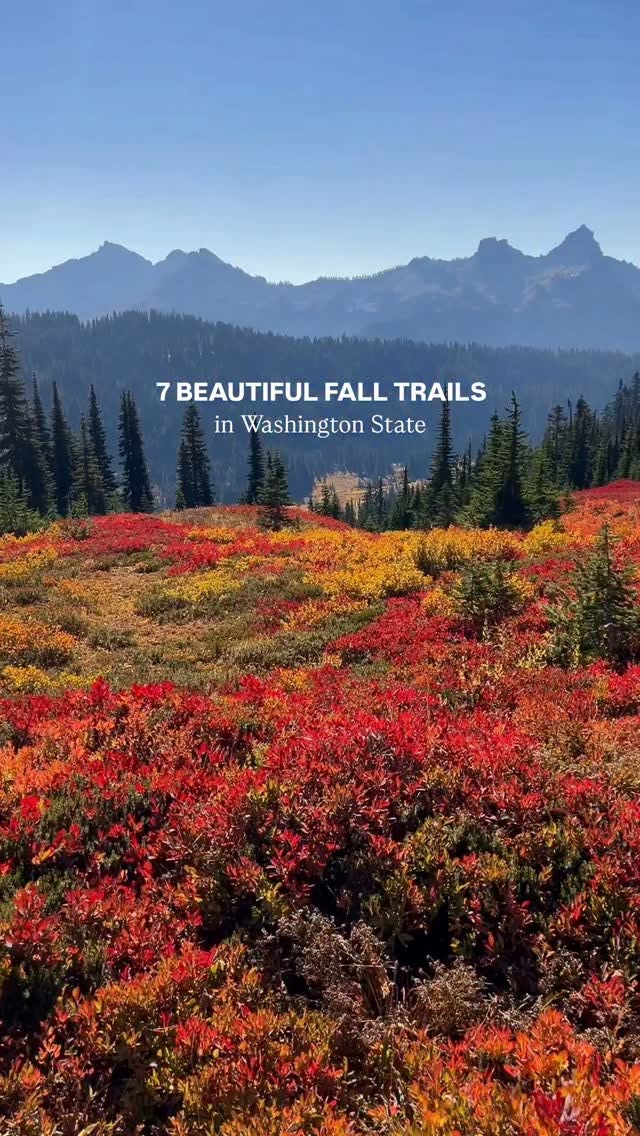 Washington State's Best Mountain Hikes