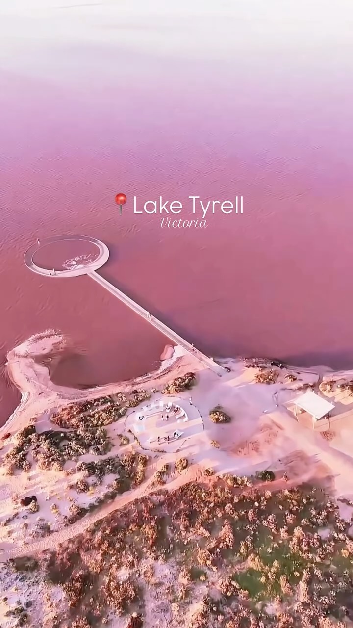 Lake Tyrrell's Saline Landscape