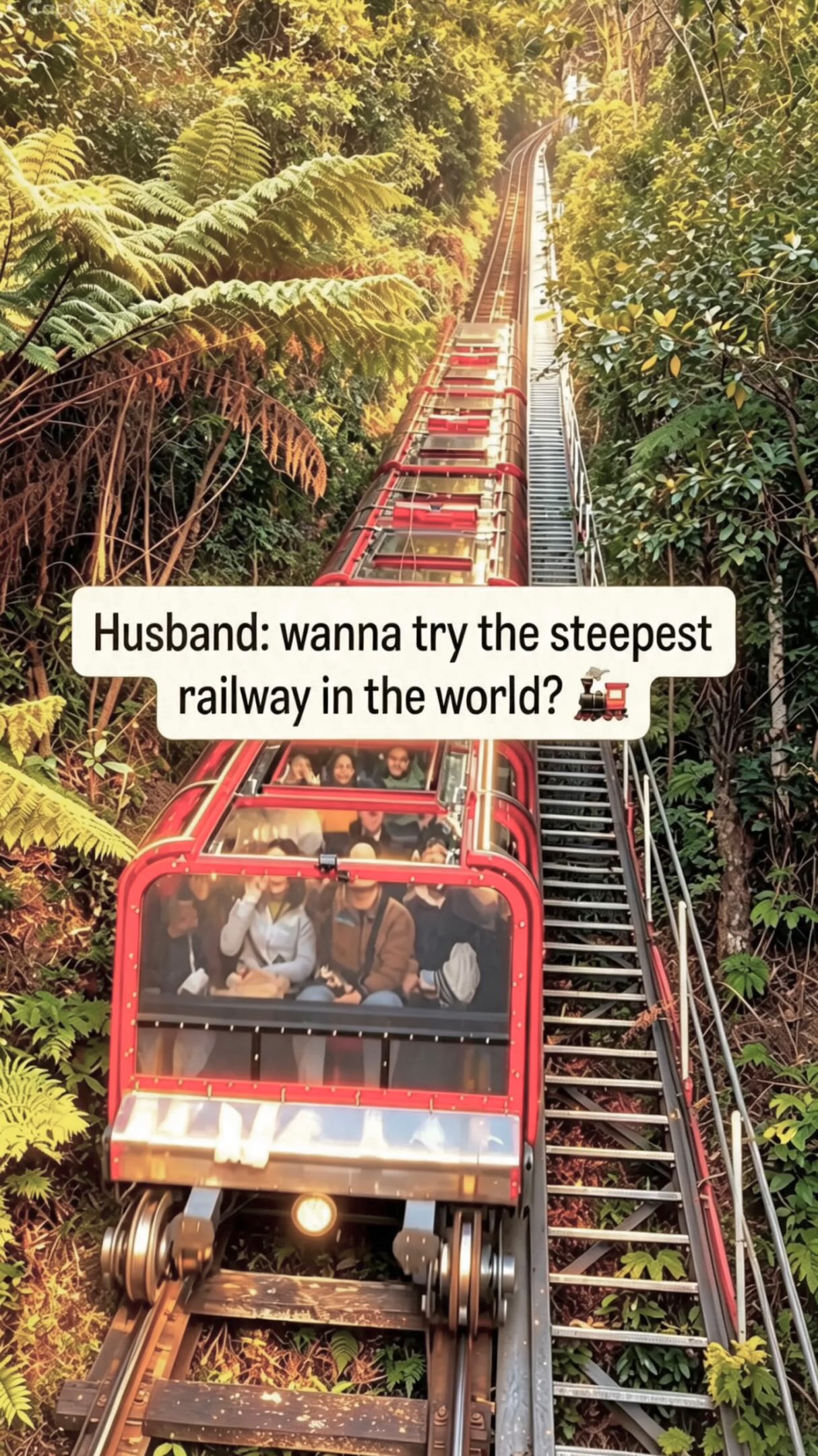 Scenic World Railway Ride Through Mountains