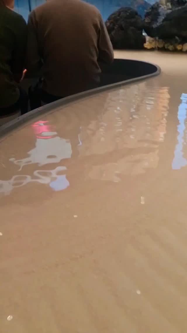 Tokyo Cafe Features Matcha Desserts on Water Table