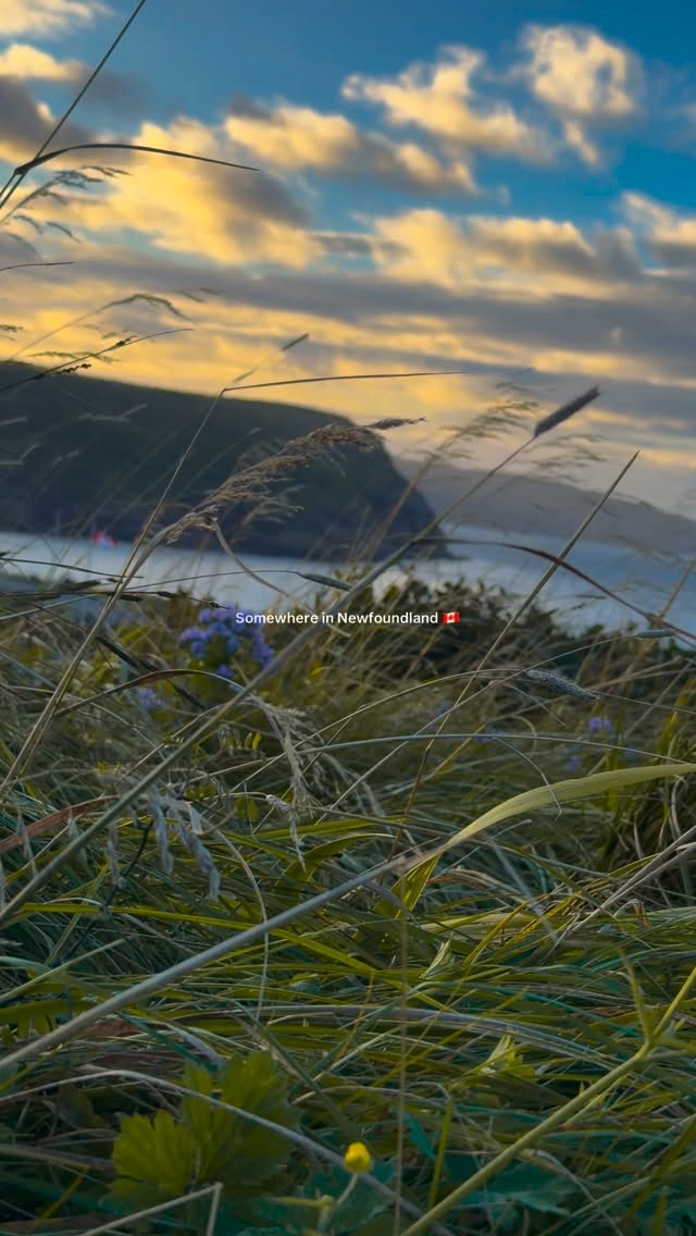 Newfoundland And Labrador Adventures