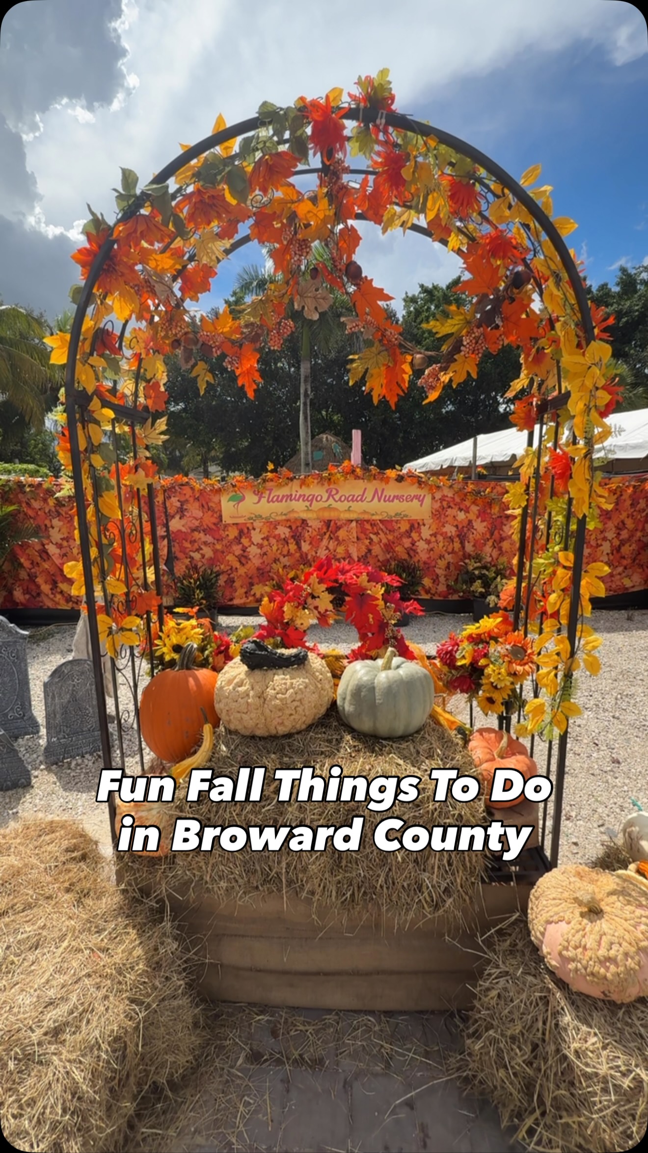 Broward County Fall Fun And Spooky Attractions