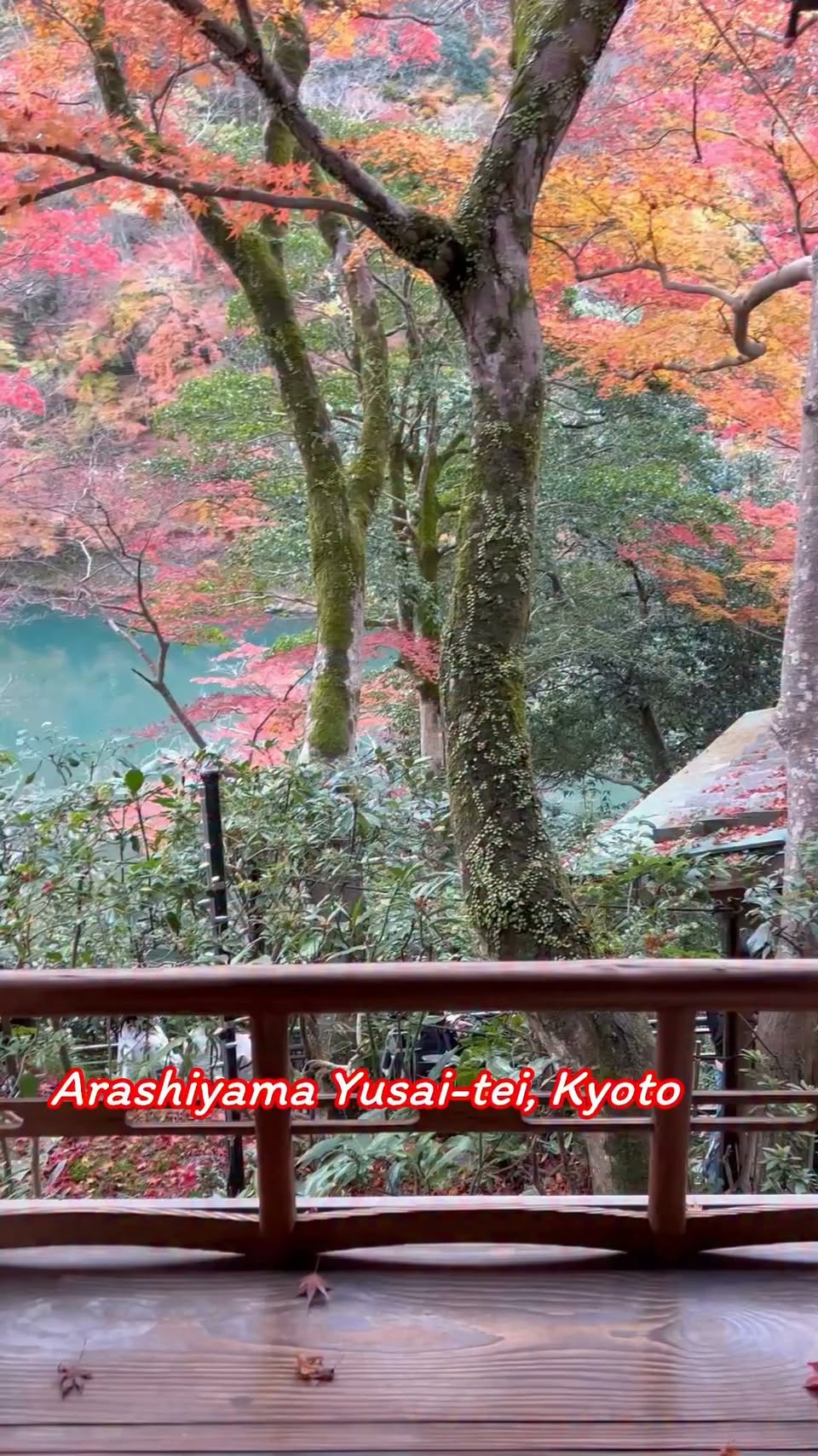 Arashiyama Yusai-Tei Gallery's Autumn Reflections