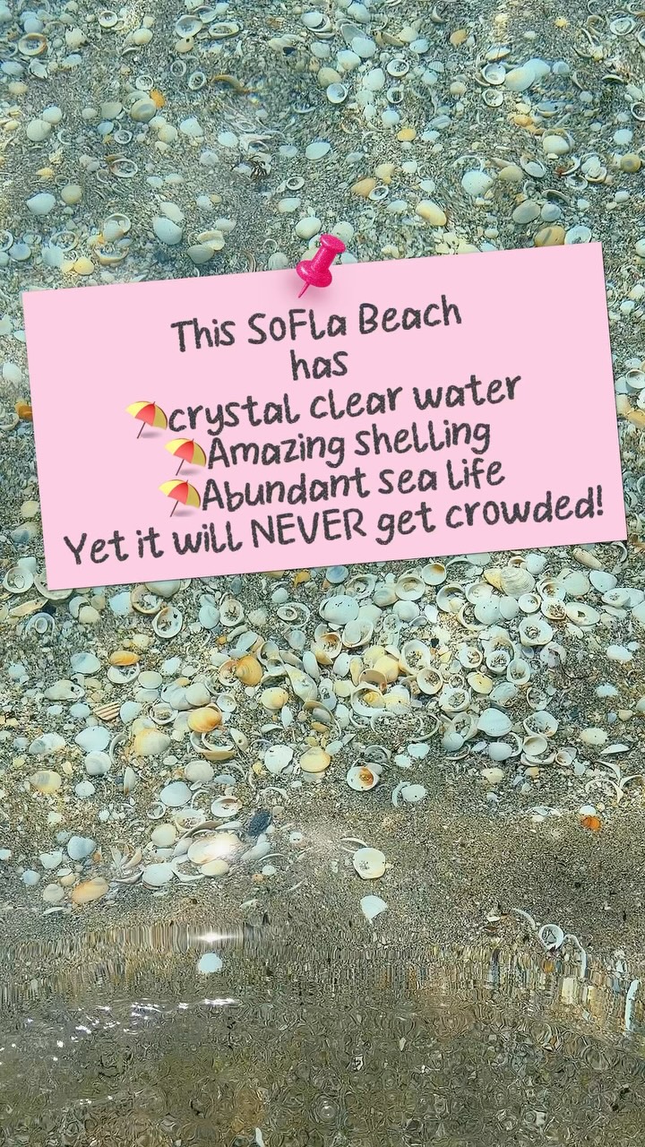 Secluded South Florida Beach Requires A Walk