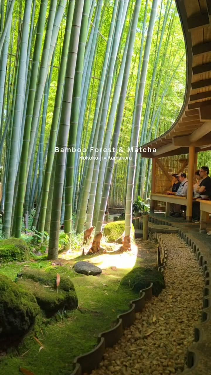 Hokokuji Temple: A Bamboo Grove and Tea Escape