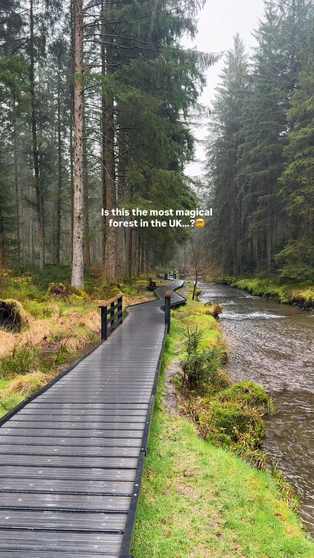 Hafren Forest: A Hidden Gem Waterfall Walk