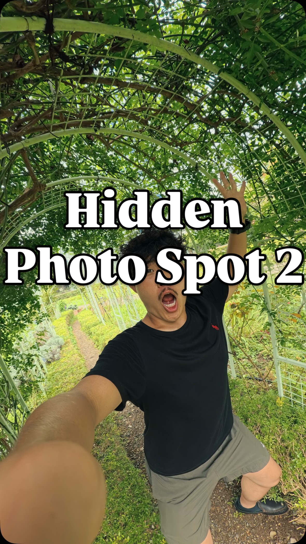 Tokyo Tower and Shiba Park Photo Opportunities