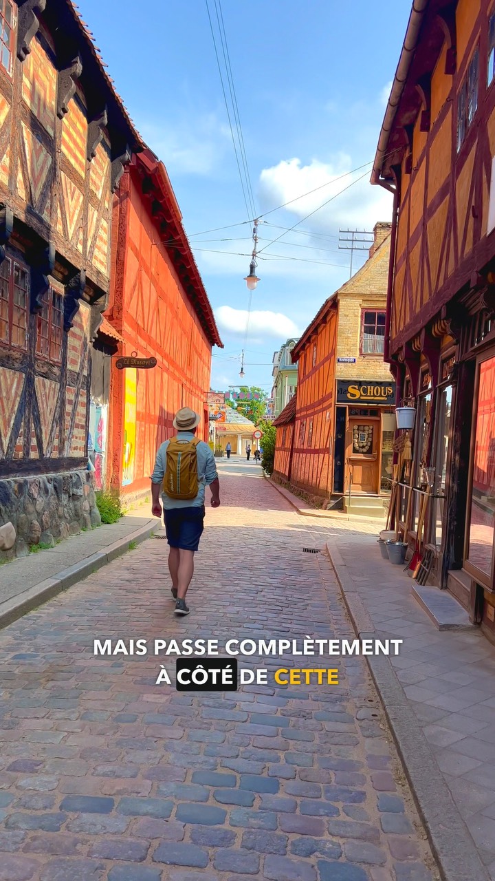 Aarhus & Silkeborg: Art, History, Nature, and Trolls