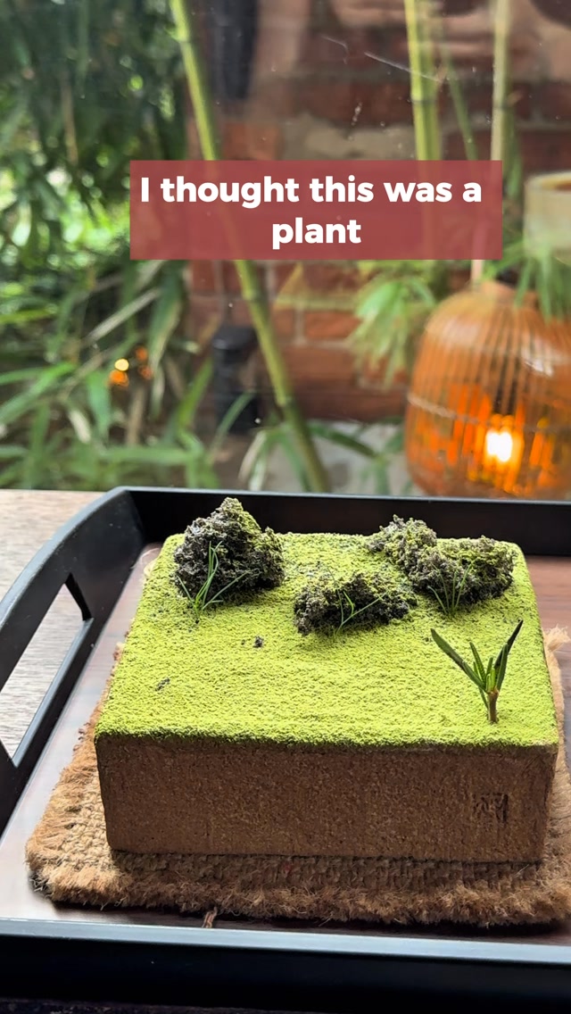 Hanok Garden Cafe Creates Edible Miniature Gardens