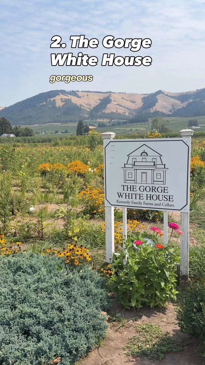 Hood River Fruit Loop: Orchards, Lavender, and Wine Country