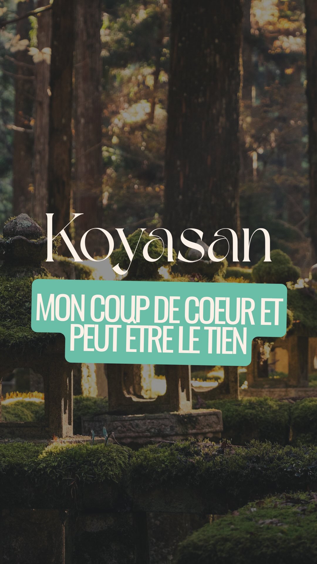 Experience Koyasan and Okunoin Beyond a Day Trip
