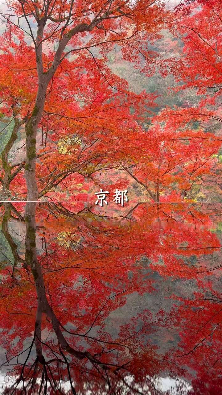 Kyoto's Autumn Foliage: Must-See Temples and Scenery