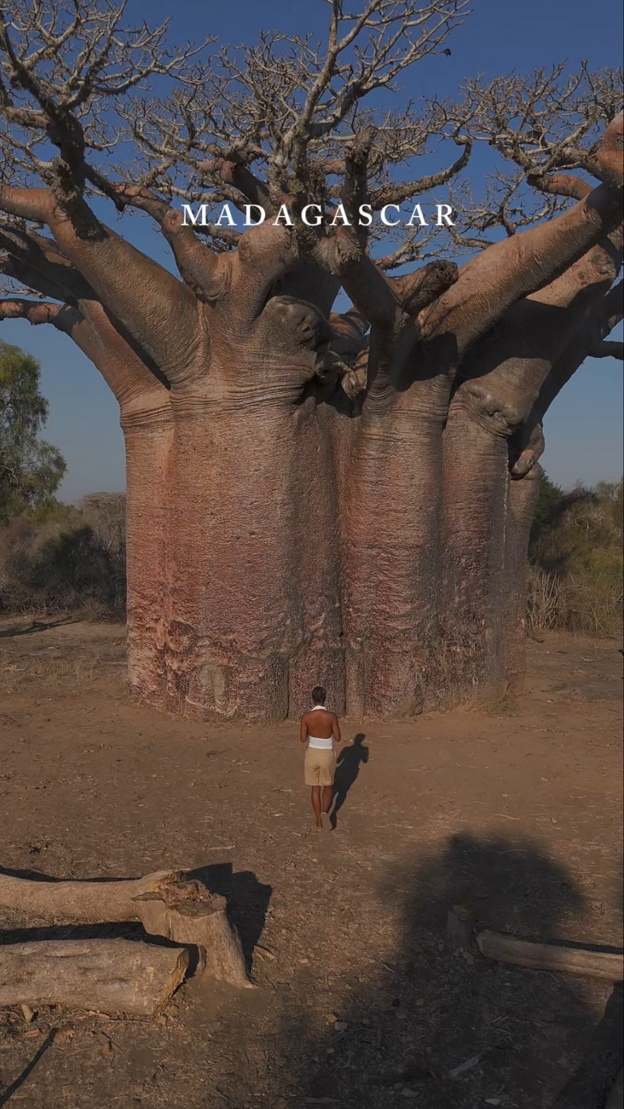 Discover Madagascar's Unique Ecosystems