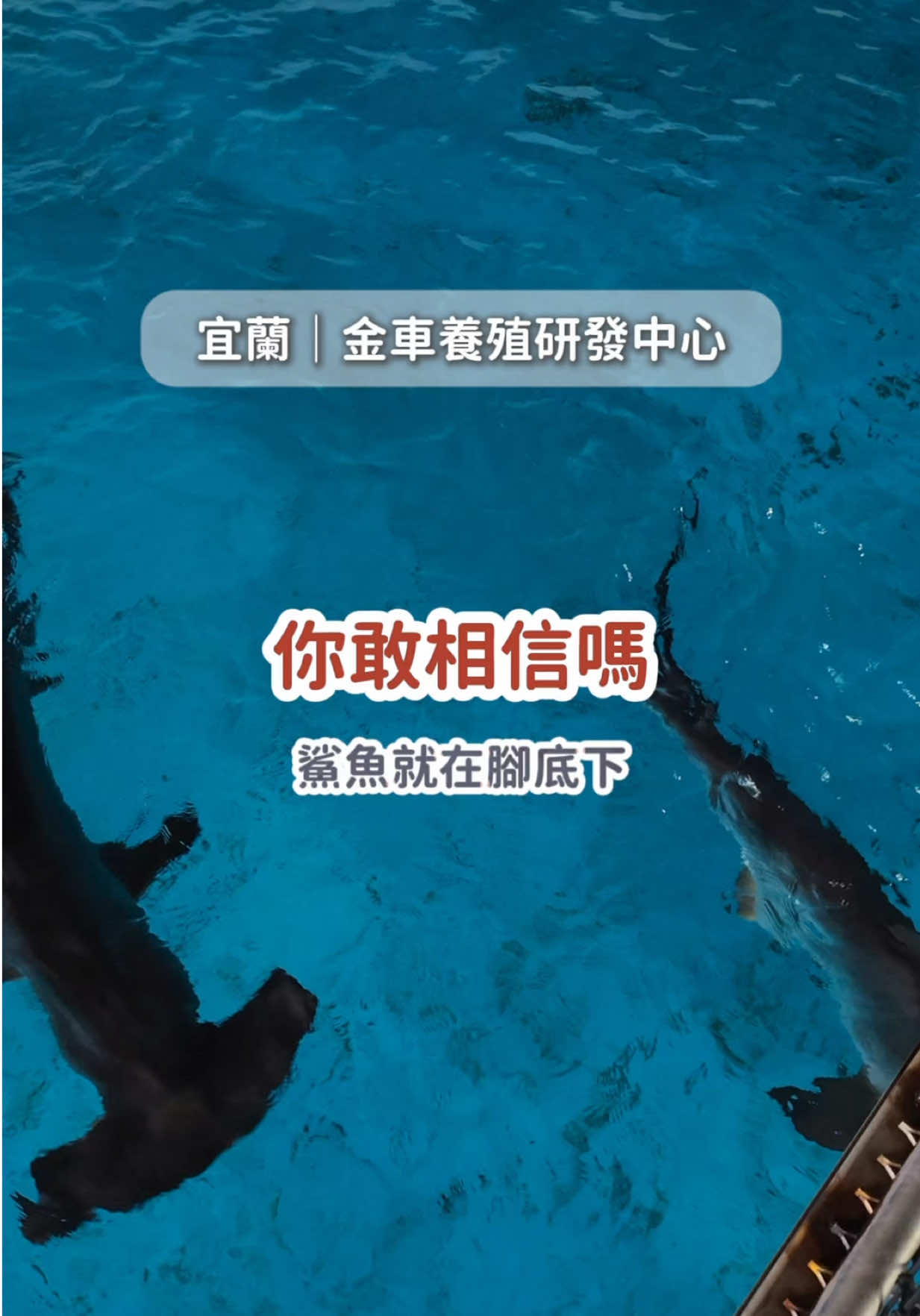 Aquaculture Research Center Offers Marine Life Exhibits