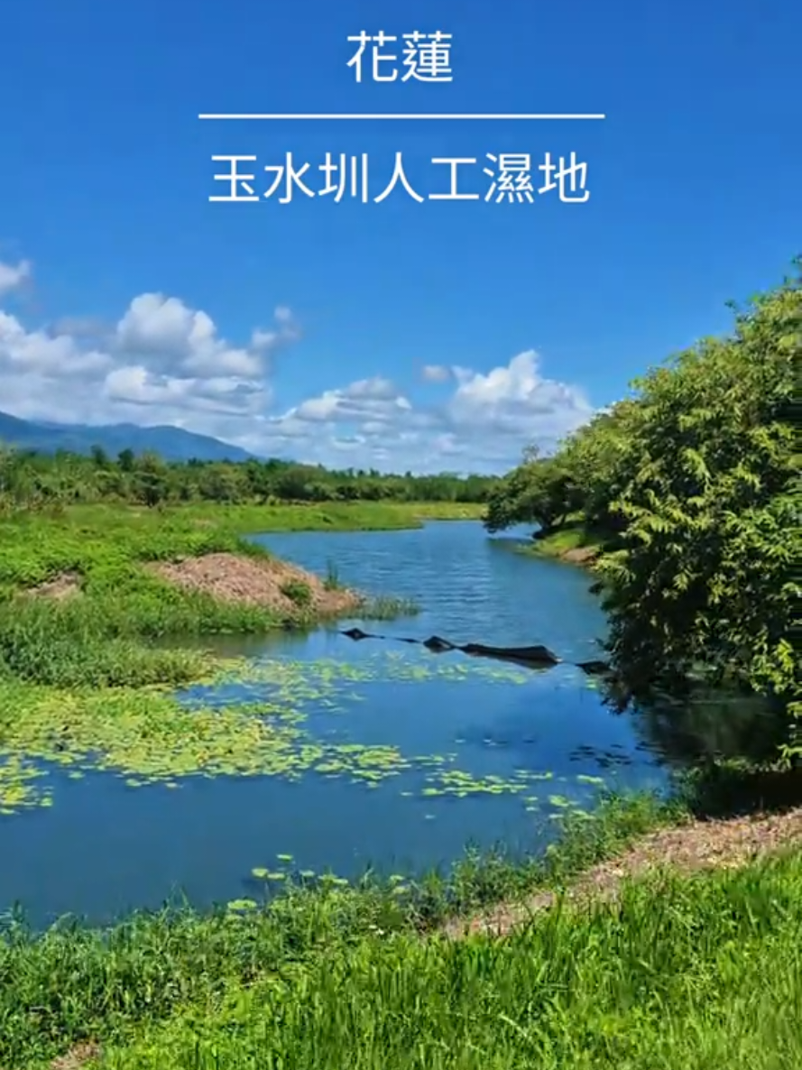 Yuli Wetland Nature Preserve
