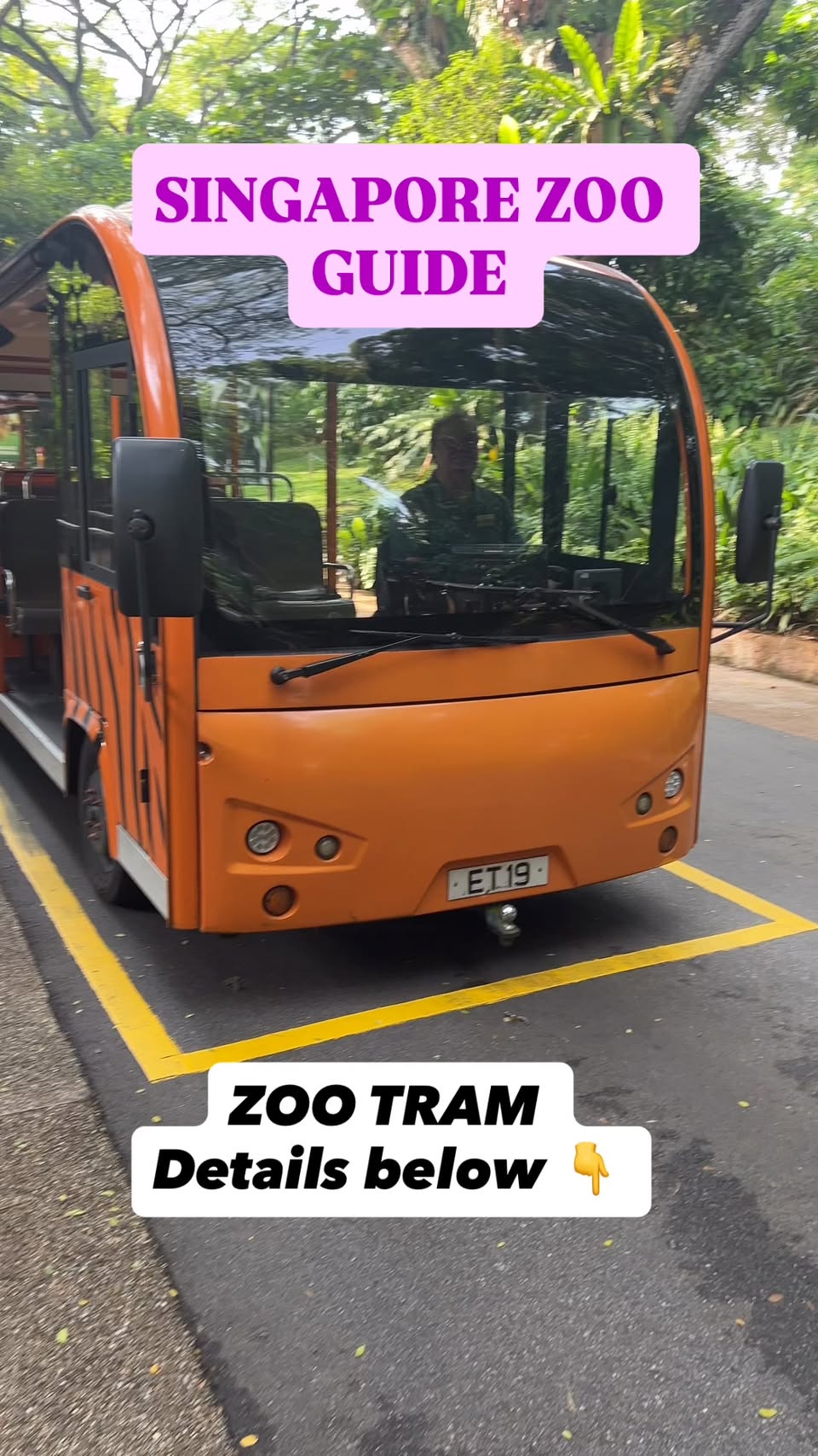 Singapore Zoo And Gardens By The Bay Attractions